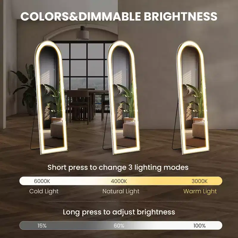 60-Inch LED Full Length Floor Mirror, 60