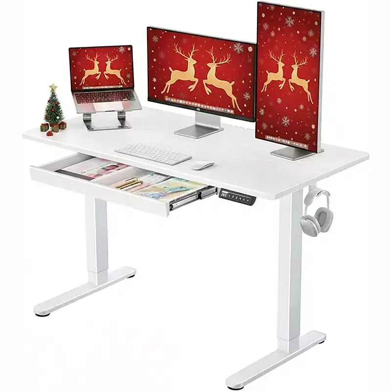 ErGear Electric Standing Desk with Drawers, 48X24 Height Adjustable Desk with 4 Preset, Home Office Computer Table, White
