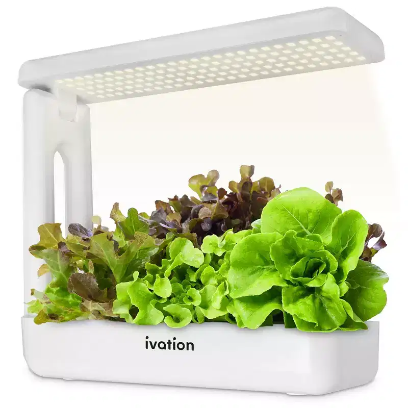 Ivation 20 Grow Sponges  Replacement Germination Pods for IVAHG20 Indoor Herb Growing System