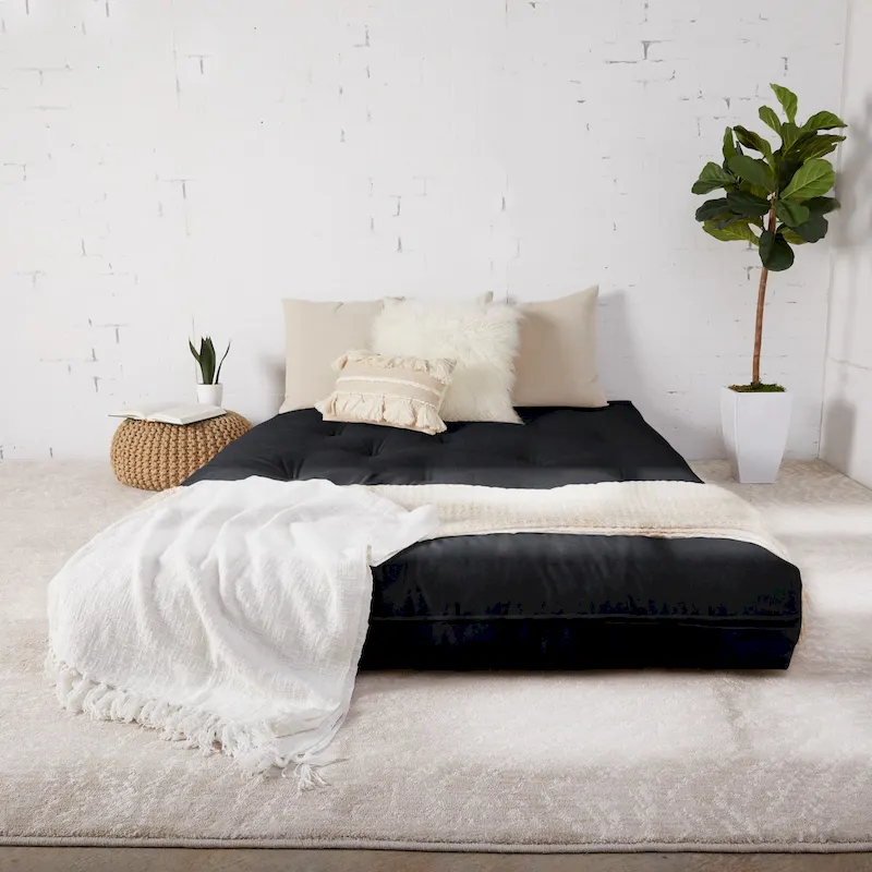 TruePedic Full-size 12-inch Futon Mattress (Mattress Only)